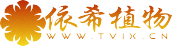 月若网