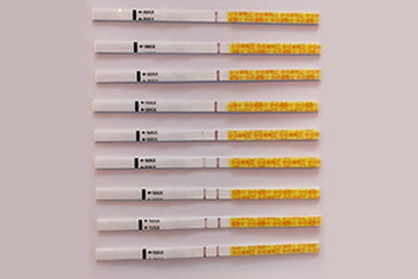 香椿种子多少钱一斤：香椿种子的药用价值